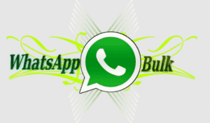 whatsApp-Bulk